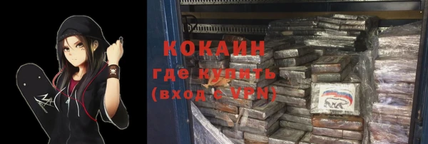 шишки Балахна