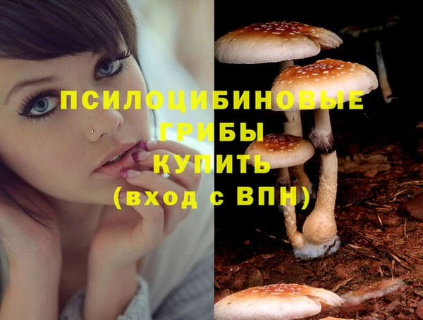 герыч Белокуриха
