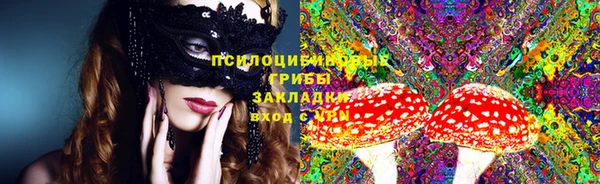 индика Белоозёрский