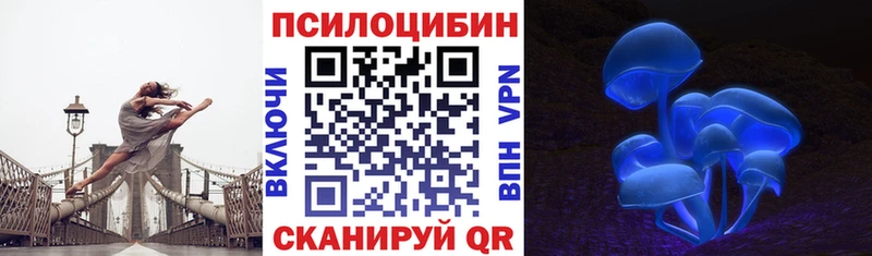 площадка официальный сайт  Калуга  Галлюциногенные грибы Psilocybine cubensis 