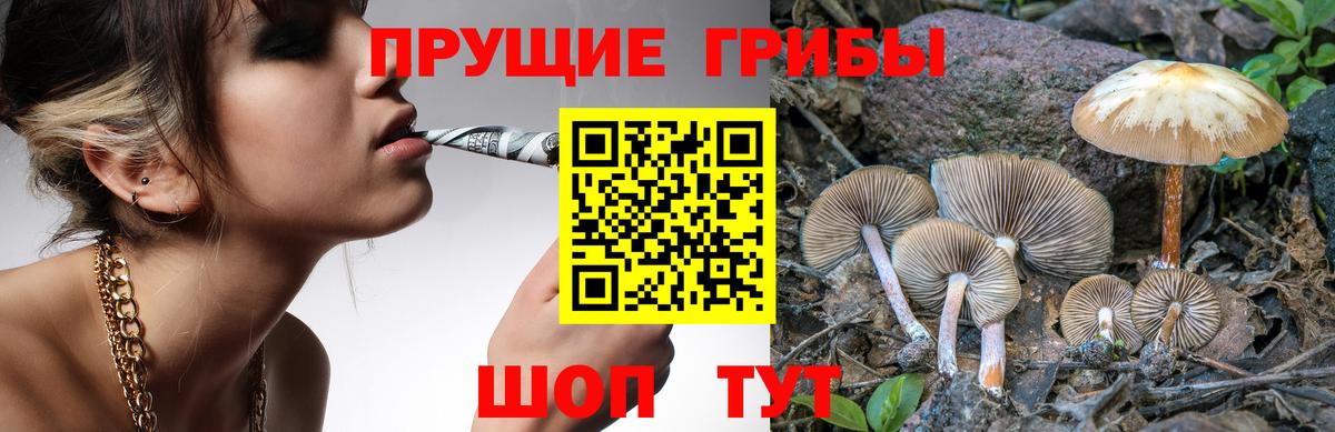Калуга  наркотики  Псилоцибиновые грибы GOLDEN TEACHER  Вход с VPN  Галлюциногенные грибы прущие грибы 